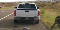 Cop gets shot point blank