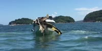 Boat accident in Brazil part 2