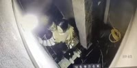 In Every Chinese Cellar