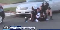 LAPD Cops Attacked By Chain Wielding Dude