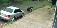 Girl Gets Dropped By Phone Snatcher In Brazil