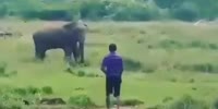 HOLY SHIT: ELEPHANT TRAMPLES & SQUASHES MAN LIKE A BUG (R)