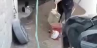 Horse power over man power