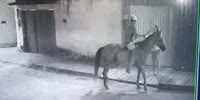 0_O: Horseman With Machete Robs A Girl