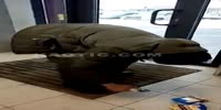 Cheese Thief Leaves Like A Boss