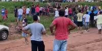 Frenzied Cow Attacks Rescuers