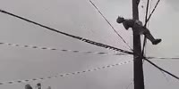 Cable Theft Gone Wrong (R)