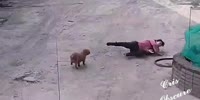 Revenge
