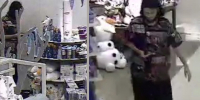 Dude fucks an Olaf doll in Target