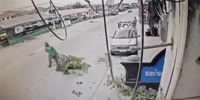 Thai Woman Gets Knocked By Angry Tree