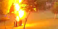 Dudes Standing Under Tree Zapped by Lightning