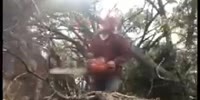 Lumberjack Gets Balls Damaged