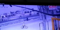 Frogger Sent To Flight