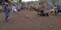 Bulls Revenge in Costa Rica