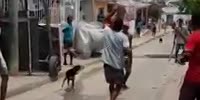 Brazilian knife road battle