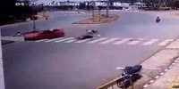 Wrong Way Dumbass
