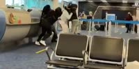 Fight In Miami Airport