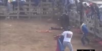 Dude gets killed by bull