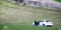 Minnesota Cops Fatally Shoot Carjacker After A Chase
