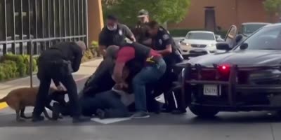 K9 Bites Suspect After Police Chase In California