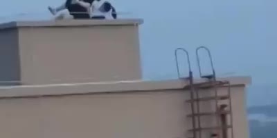 Love on Height
