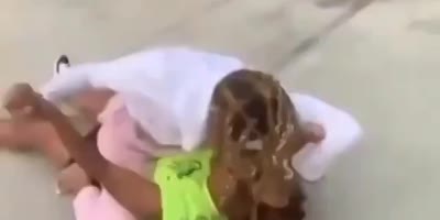 Wild girl fight