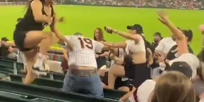 Short: Female brawl breaks out in the bleachers at White Sox-Cardinals game