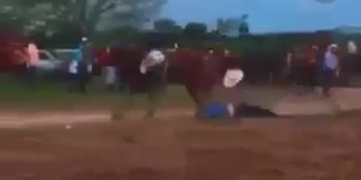 Horse Race Spectator Pays The Price For Being Careless