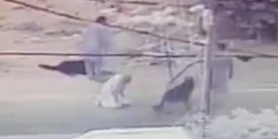 OG Attacked & Bitten By Huge Dogs In Pakistan