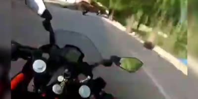 Head-on Crash with Tricycle