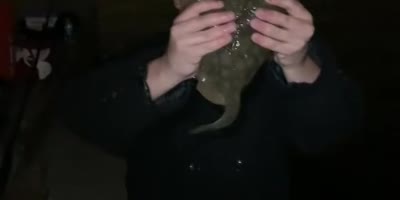 Man Stabbed By Stingray