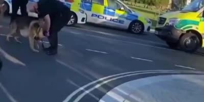 UK Police Dog Bites Handler