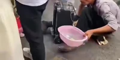 Brazen Beggar