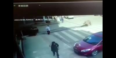 Man Bull Kills A Stranger In China