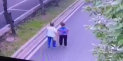Woman knocked to the ground by a dog