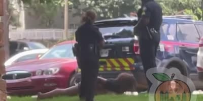 Short: Atlanta Officer Kicks Handcuffed Woman In The Head