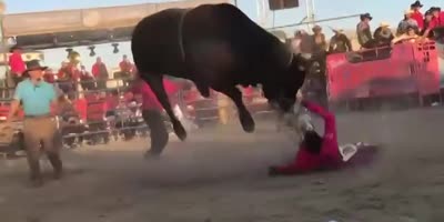 Bullfighter Out Of Order
