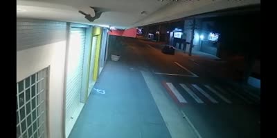 Deadly Flight Of Motorcyclist
