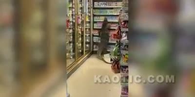 Jurassic Park 7 Eleven