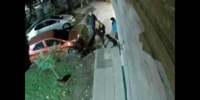 Sad screams of woman being attacked and robbed.