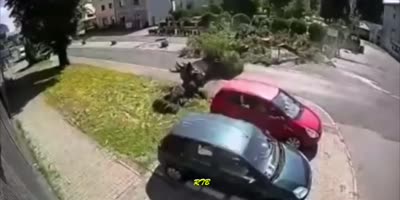 Tree Fell On Car in Poland