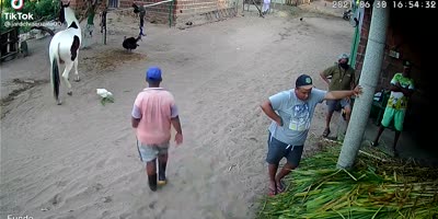 Kicked By The Horse