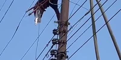 Worker Roasts On Powerlines In India