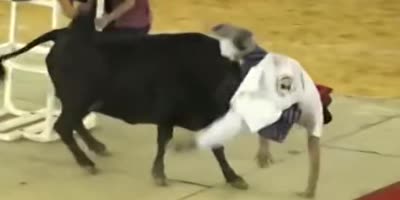 Bull breaks man's neck.