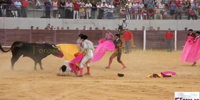 Horn In The Leg