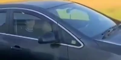 She Sucks !