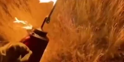 Arson: Farm Property Damage (POV)