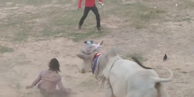 Female Bullride Injured By Beast