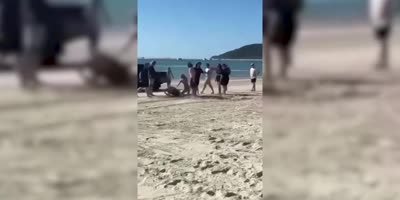 Four On One Attack On Astralian Beach