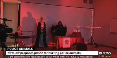 Australian News channel mistakenly plays satanic ritual during live telecast